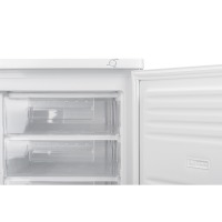 Upright freezer ERGO BD-85