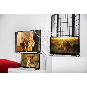 LED TV ERGO LE24CT5500AK