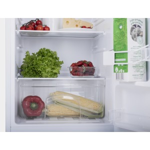 Refrigerator ERGO MR-86