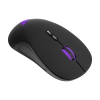Wireless mouse ERGO NL-910 W