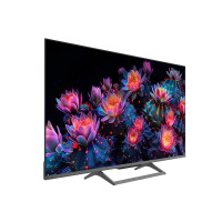 TV ERGO 55MQ90 Ultra