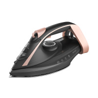Iron ERGO DES 2090