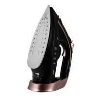 Iron ERGO DES 2090