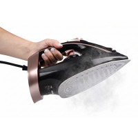 Iron ERGO DES 2090