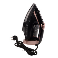 Iron ERGO DES 2090