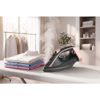 Iron ERGO DES 2090