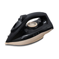 Iron ERGO DES 2070
