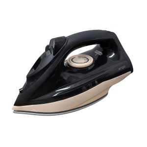 Iron ERGO DES 2070