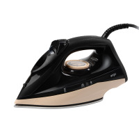 Iron ERGO DES 2070
