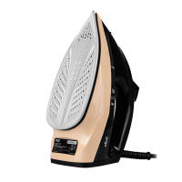 Iron ERGO DES 2070
