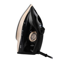 Iron ERGO DES 2070