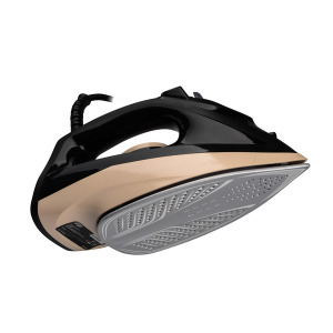 Iron ERGO DES 2070