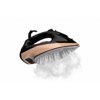 Iron ERGO DES 2070