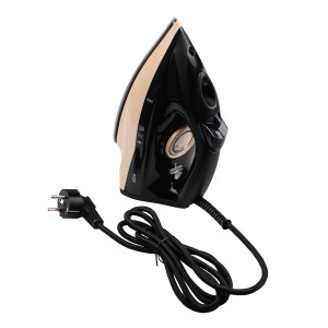 Iron ERGO DES 2070