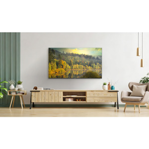 TV ERGO 65JUQ7555